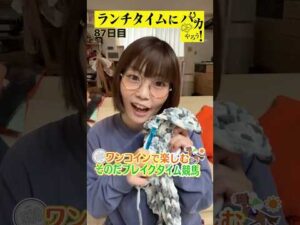 【ランチタイムに競馬を楽しむ!そのだブレイクタイム競馬】次世代競馬芸人がランチタイムに競馬予想!ほずみ ちかこ先生が500円で馬券勝負!11/18、87日目の結果は?【カンテレ競馬×そのだけいば】