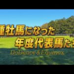 【タートピッ！SP】種牡馬になった年度代表馬たち　～ドウデュース・イクイノックス～ | JRA公式