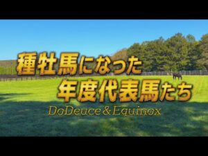 【タートピッ！SP】種牡馬になった年度代表馬たち　～ドウデュース・イクイノックス～ | JRA公式