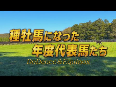 【タートピッ！SP】種牡馬になった年度代表馬たち　～ドウデュース・イクイノックス～ | JRA公式