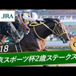 2018年 東京スポーツ杯2歳ステークス（GⅢ） | ニシノデイジー | JRA公式