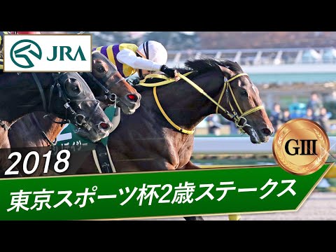 2018年 東京スポーツ杯2歳ステークス(GⅢ) | ニシノデイジー | JRA公式