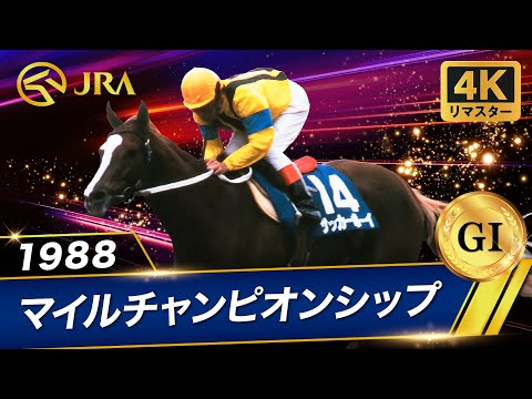 【4Kリマスター】1988年 マイルチャンピオンシップ（GⅠ） | サッカーボーイ | JRA公式