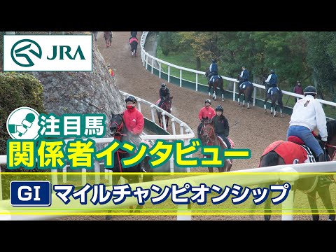 【注目馬 関係者インタビュー】2025年 マイルチャンピオンシップ|JRA公式