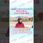 マイルチャンピオンシップ GⅠ トレセン直撃取材! #競馬 #マイルチャンピオンシップ #ラヴァンダ #岩田望来 騎手