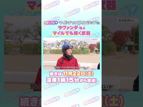 マイルチャンピオンシップ GⅠ　トレセン直撃取材！　#競馬 #マイルチャンピオンシップ   #ラヴァンダ   #岩田望来  騎手