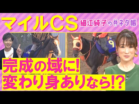 【3週連続注目馬が激走中!】「弾ける追い切り」ジャンタルマンタル、ソウルラッシュ、アスコリピチェーノ・・・マイルチャンピオンシップ(GⅠ)を元ジョッキーの細江純子さんが徹底解説!<細江純子のネタ帳>