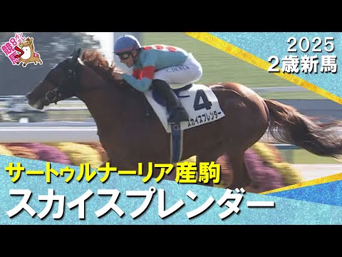 スカイスプレンダーが１番人気に応えて快勝！Ｃ.デムーロ騎手「楽にゴールまで駆け抜けた」2025年11月23日(日)２歳新馬　京都芝1800m　実況：川島壮雄【カンテレ公式】