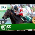 2018年 京阪杯（GⅢ） | ダノンスマッシュ | JRA公式