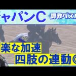 【ベスト３は意外な結果に！？】クロワデュノール、マスカレードボール、ダノンデサイル、カランダガン…まさに頂上決戦！競馬エイト・高橋賢司トラックマンの調教”生”解説＜ジャパンカップ(ＧⅠ)＞