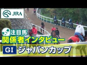 【注目馬 関係者インタビュー】2025年 ジャパンカップ｜JRA公式