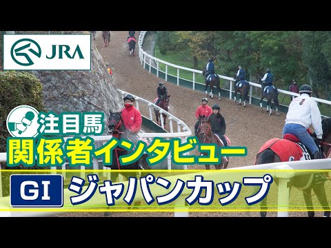【注目馬 関係者インタビュー】2025年 ジャパンカップ|JRA公式