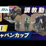 【調教動画】2025年 ジャパンカップ｜JRA公式