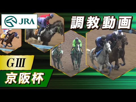 【調教動画】2025年 京阪杯|JRA公式