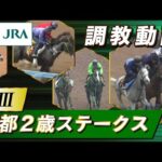 【調教動画】2025年 京都2歳ステークス|JRA公式