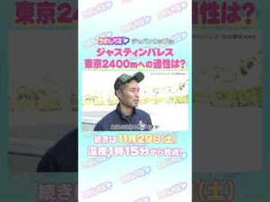 ジャパンカップ GⅠ　トレセン直撃取材！　#競馬 #ジャパンカップ   #ジャスティンパレス    #杉山晴紀  調教師