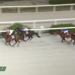 【兵庫ジュニアグランプリ2025】結果・動画/トウカイマシェリが押し切る