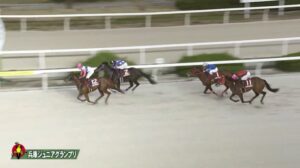 【兵庫ジュニアグランプリ2025】結果・動画/トウカイマシェリが押し切る