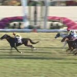 【競馬】マイルCSは川田騎乗のジャンタルマンタルがV