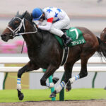 【競馬予想】[2] 第15回みやこステークス(GⅢ) /2025