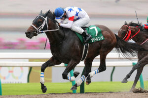 【競馬予想】[2] 第15回みやこステークス(GⅢ) /2025