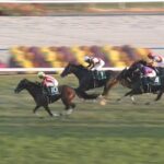 【京阪杯2025】結果・動画/エーティーマクフィが外から差し切る