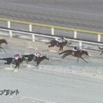 【JBCスプリント2025】結果・動画/ファーンヒルが逃げ切りV