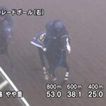 【ジャパンカップ2025】追い切り/動きからレースを紐解く