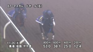 【ジャパンカップ2025】追い切り/動きからレースを紐解く