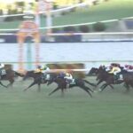 【競馬】福島記念は津村騎乗のニシノティアモがV