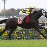 【アルゼンチン共和国杯】9番人気ミステリーウェイが逃げ切りV!人馬共に重賞初制覇