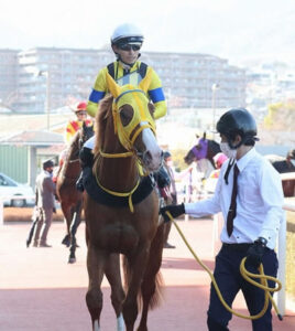 【アルゼンチン共和国杯】ボルドグフーシュ4番人気w11着w