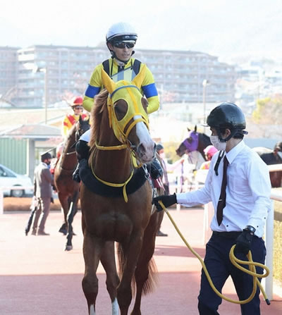 【アルゼンチン共和国杯】ボルドグフーシュ4番人気w11着w