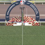 【香港国際競走】選出馬発表