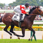 【東スポ杯2歳S】ダノンヒストリー弱すぎワロタw w w w w