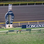 【ジャパンC】カランダガ,ゴリアット,ロスアンゼルス,クィーンズタウンの外国馬4頭が招待受諾