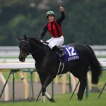 エイシンフラッシュが種牡馬を引退 ヴェルサイユリゾートファームへ