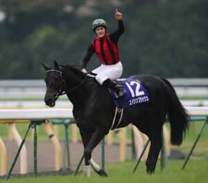 エイシンフラッシュが種牡馬を引退 ヴェルサイユリゾートファームへ