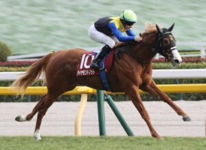 【京王杯2歳S】ダイヤモンドノット強すぎワロタ