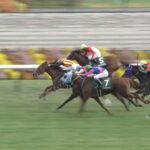 【ファンタジーステークス2025】結果・動画/フェスティバルヒルが接戦を制する