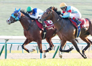 【デイリー杯2歳S】アドマイヤクワッズがカヴァレリッツオに競り勝ちレコードV!重賞初制覇