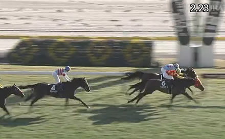 【南部特別】アロンズロッド、マル地のJRA未勝利馬に負ける