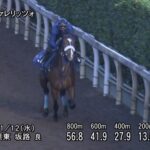 【デイリー杯2歳ステークス2025】追い切り/動きからレースを紐解く
