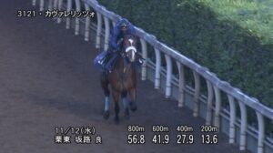 【デイリー杯2歳ステークス2025】追い切り/動きからレースを紐解く