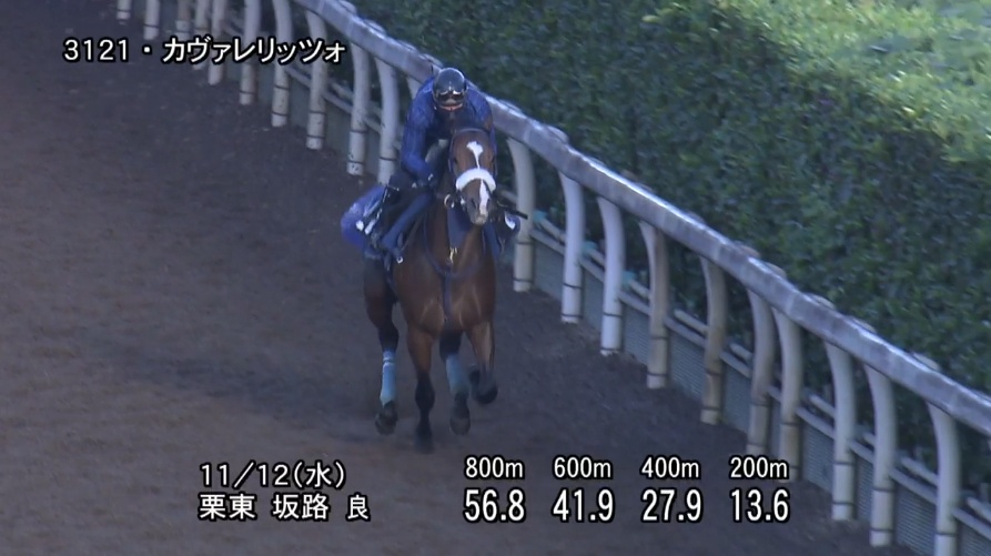 【デイリー杯2歳ステークス2025】追い切り/動きからレースを紐解く