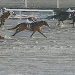 【JBCスプリント】大井のファーンヒルが優勝！1番人気初ダートのママコチャ2着