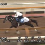 【みやこステークス2025】追い切り/抜群の動きを見せたのは