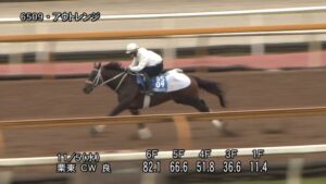 【みやこステークス2025】追い切り/抜群の動きを見せたのは
