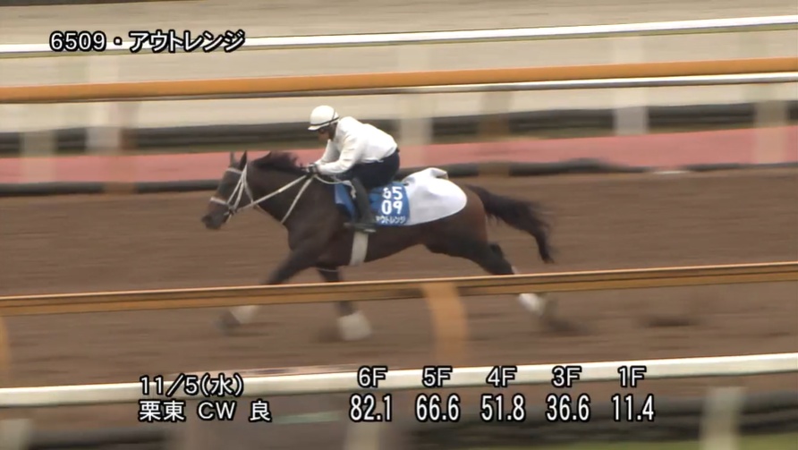 【みやこステークス2025】追い切り/抜群の動きを見せたのは