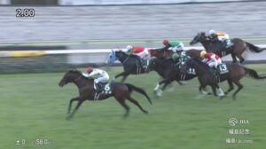 【福島記念2025】出走予定馬・騎手/秋の福島で輝け